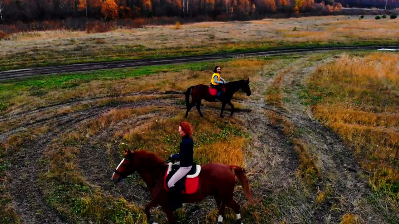 Free Stock Video Two People Riding In Circles In Nature Live Wallpaper - Free Download