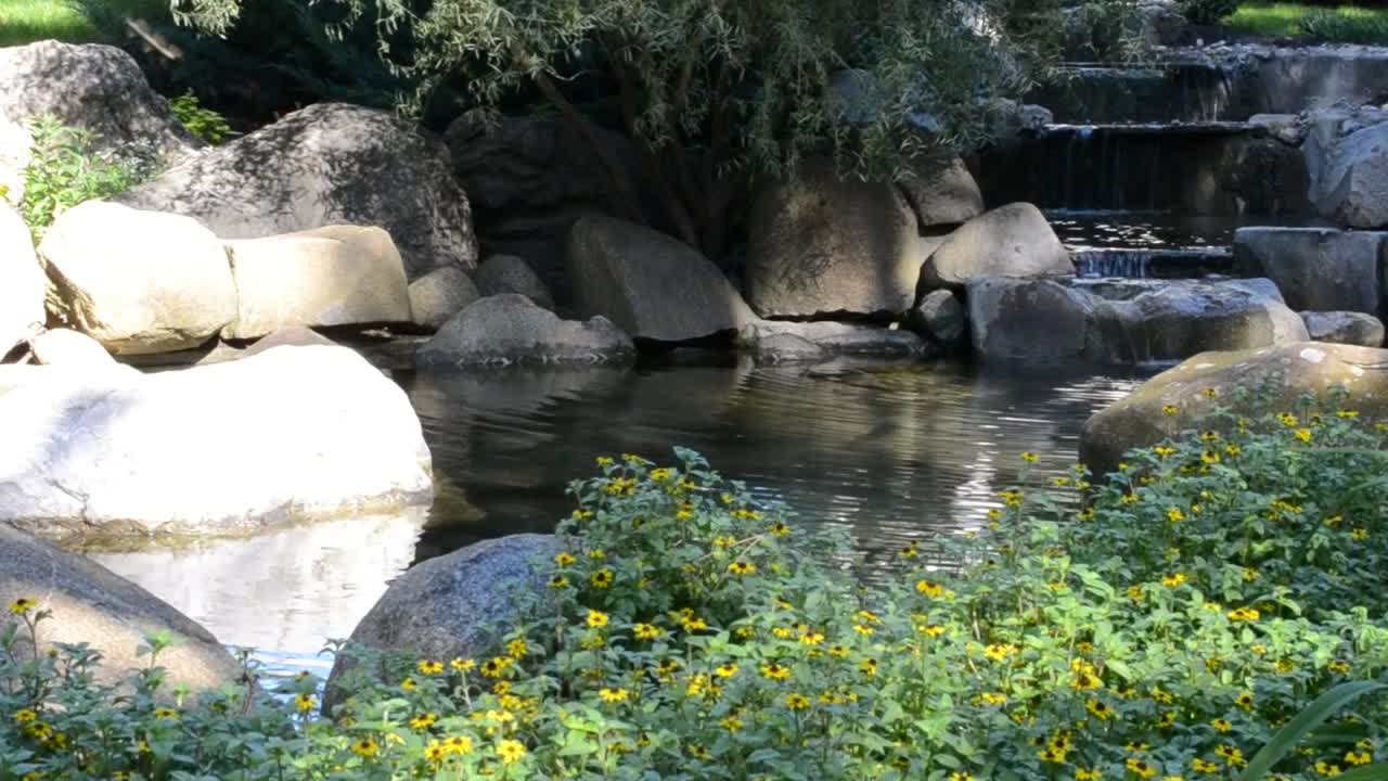 Stock Video Gentle Stream In A Public Garden Live Wallpaper For PC - Free Download