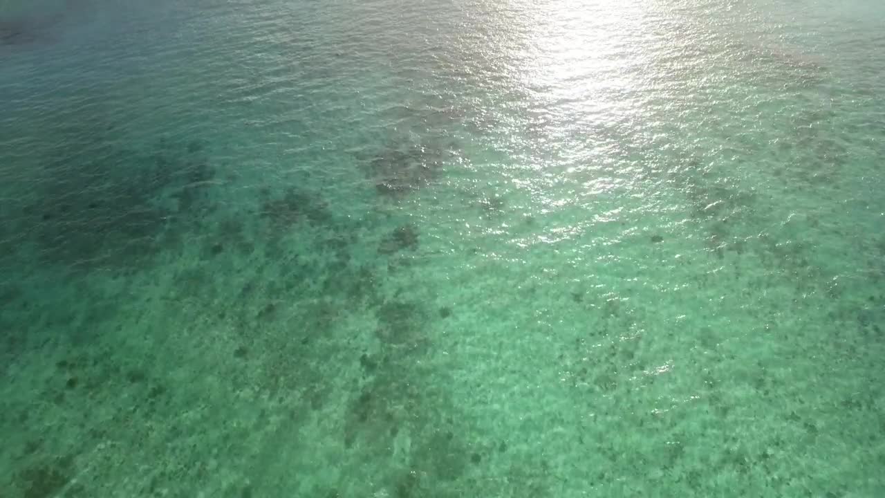 Video Stock Clear Emerald Waters Off Mauritius Island Live Wallpaper For PC - Free Download