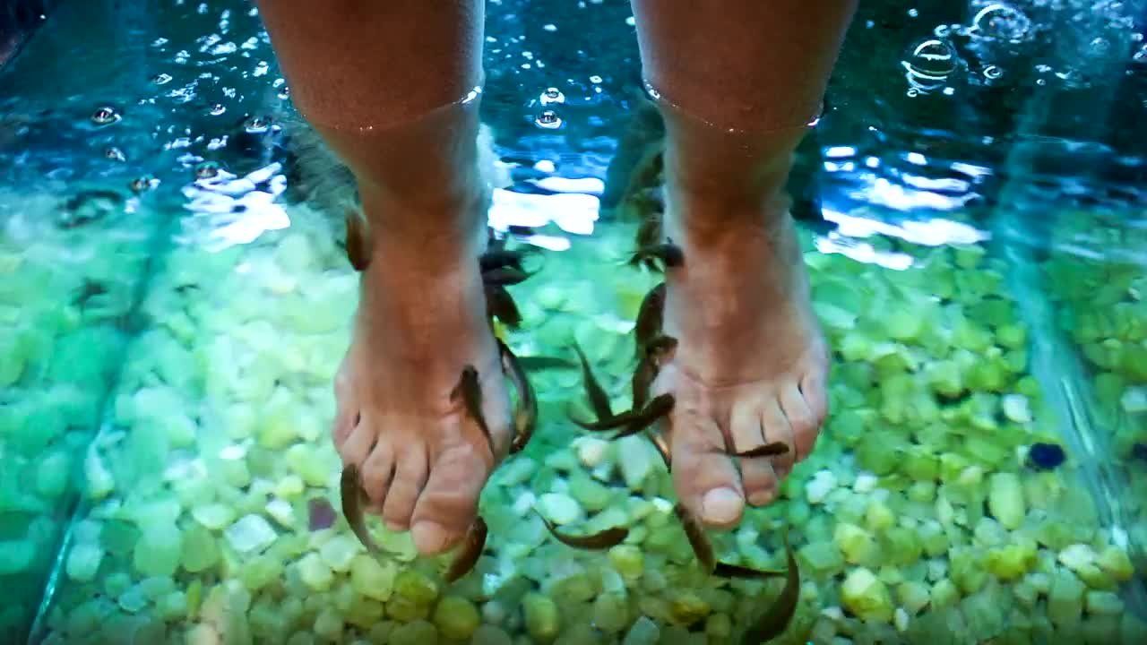 Free Video Stock Spa Foot Treatment Live Wallpaper - Free Download
