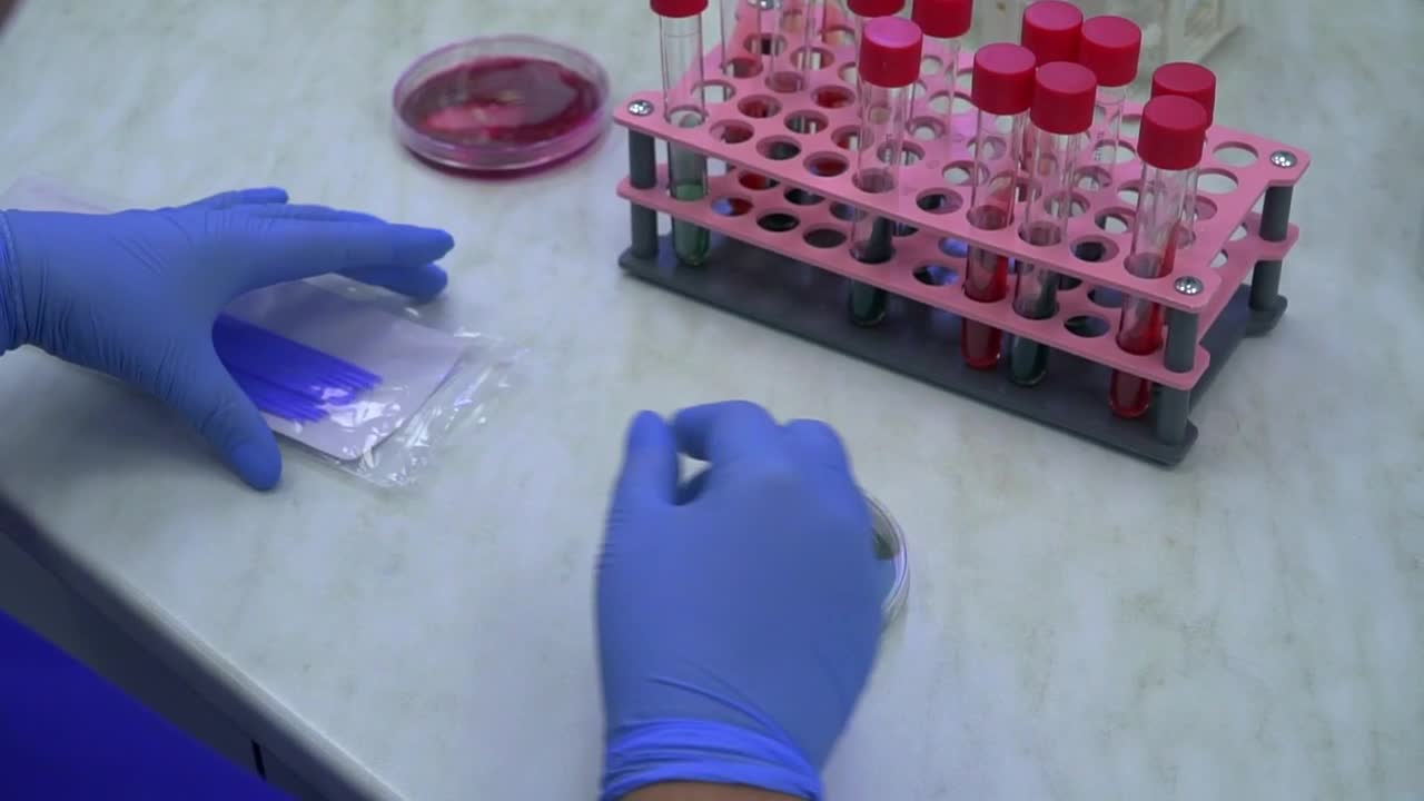 Stock Video Hands Of Person Working In A Laboratory Animated Wallpaper - Free Download