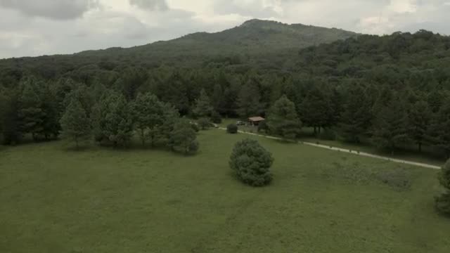Video Stock Car Crossing A Meadow In The Middle Of A Large Smal Live Wallpaper For PC - Free Download