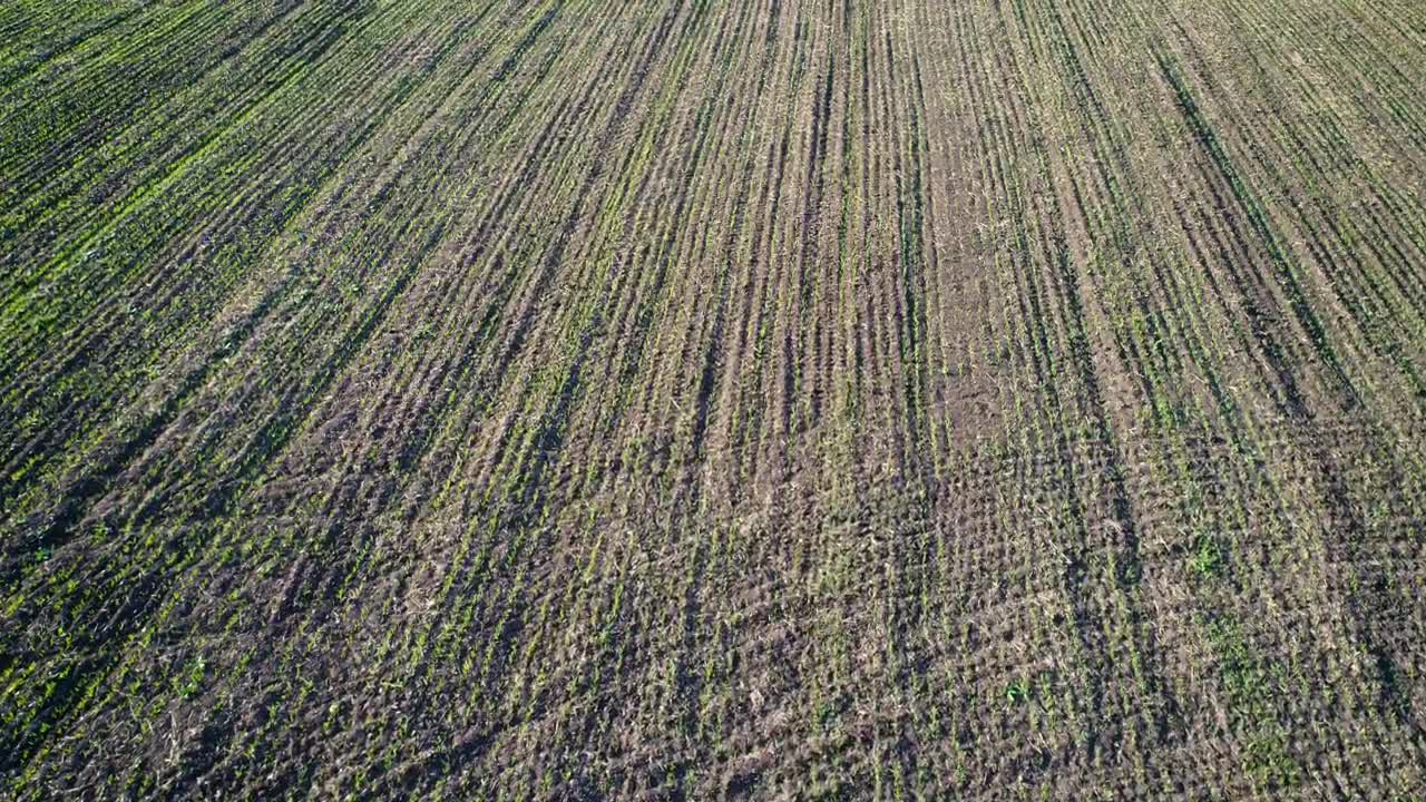 Stock Video Flying Over An Agriculture Field Texture Video Live Wallpaper For PC - Free Download