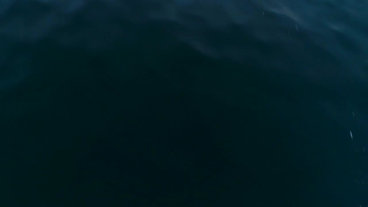 Stock Video Flying Over The Sea Revealing The Skyline At Sunset Live Wallpaper For PC - Free Download