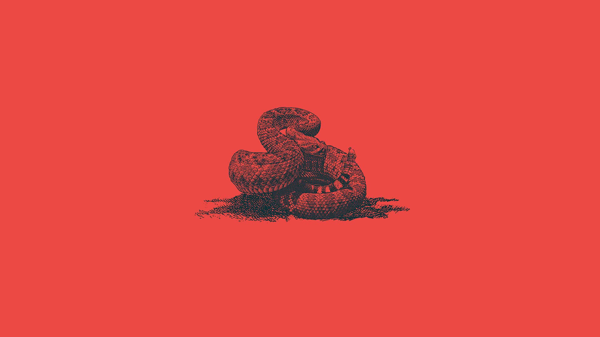 Rattle Snake HD Live Wallpaper - Free Download