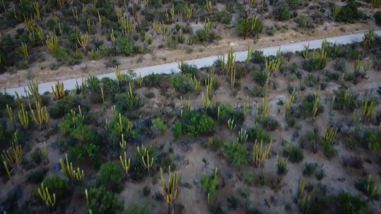 Stock Video Flying Over A Field Full Of Vegetation Live Wallpaper For PC - Free Download