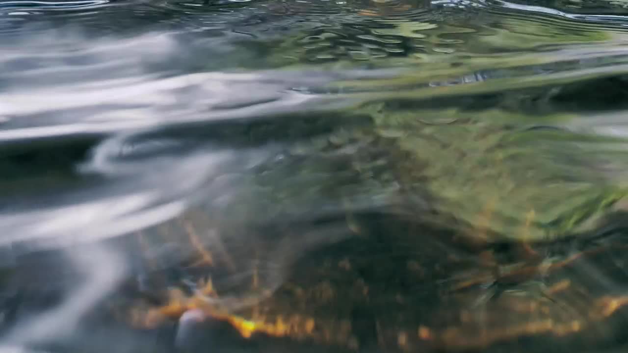 Stock Footage Water In A Creek Live Wallpaper - Free Download