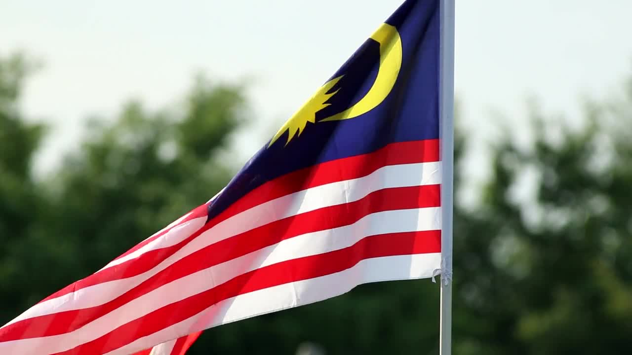 Stock Video Malaysian Flag In The Breeze Animated Wallpaper - Free Download