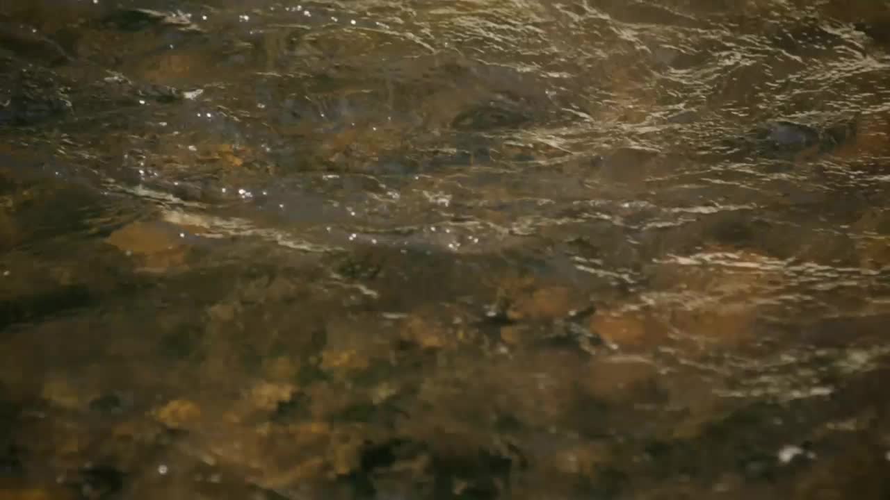 Free Stock Video Water Flowing On A River Slow Motion Live Wallpaper - Free Download