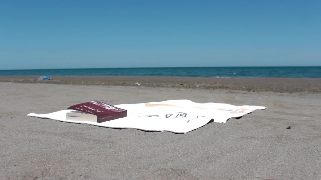 Free Stock Video Young Man Reading A Book Lying On The Beach Live Wallpaper - Free Download