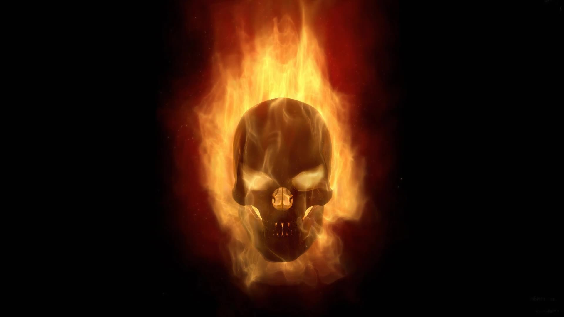 Burning  Skull  Fantasy  Live  Wallpaper - Free Download