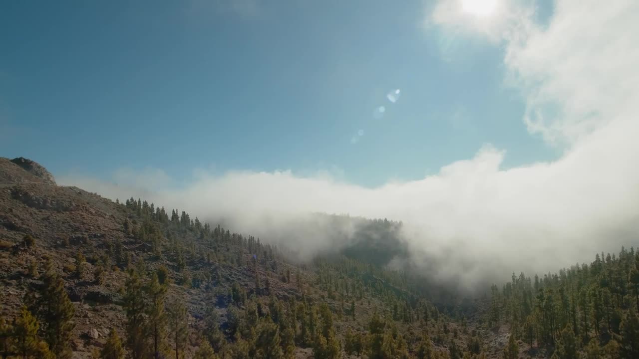 Video Stock Clouds Creeping Over A Forest Live Wallpaper For PC - Free Download