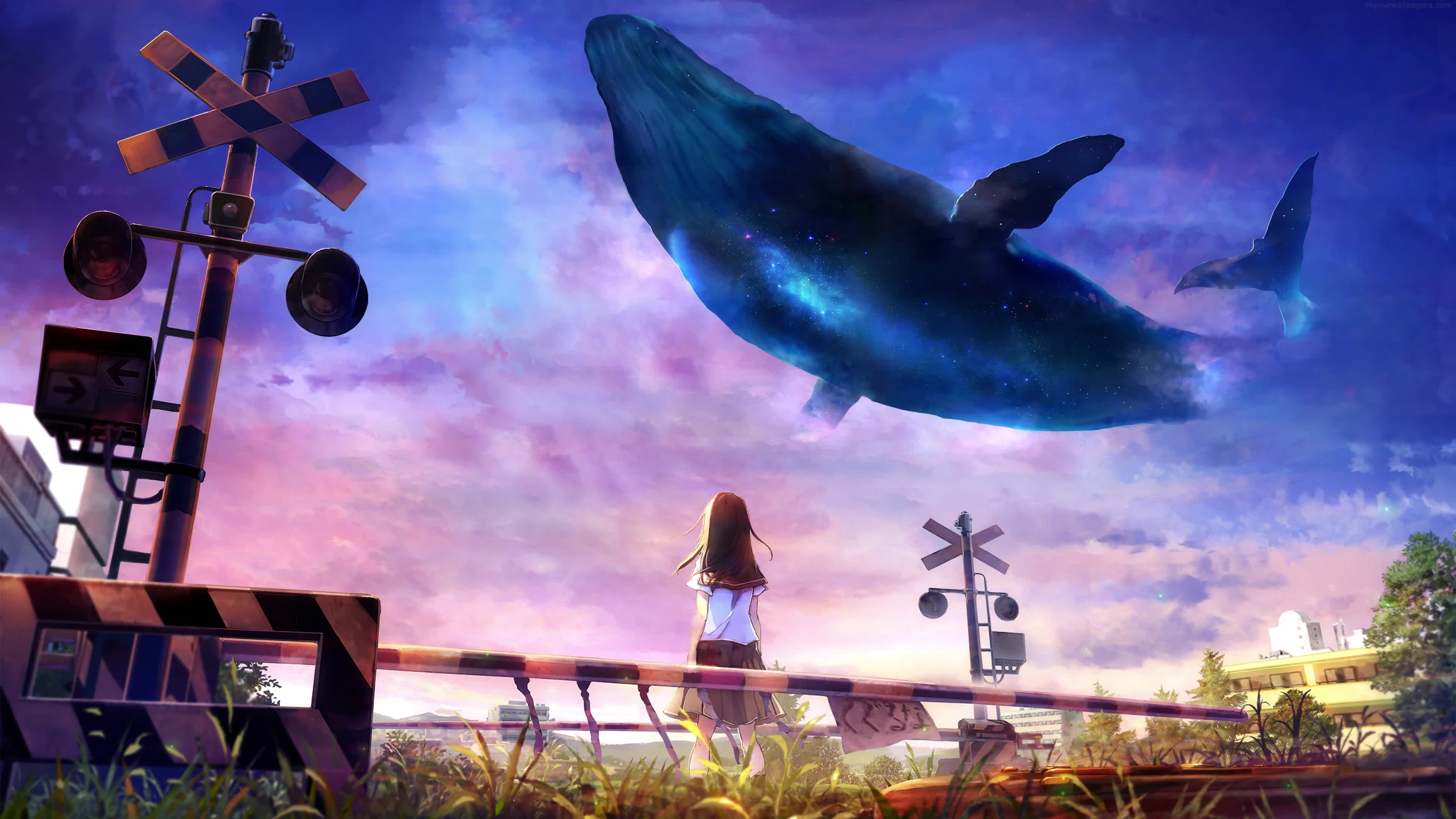 Sky Whale Near rain Tracks and Girl 4K Live Wallpaper - Free Download