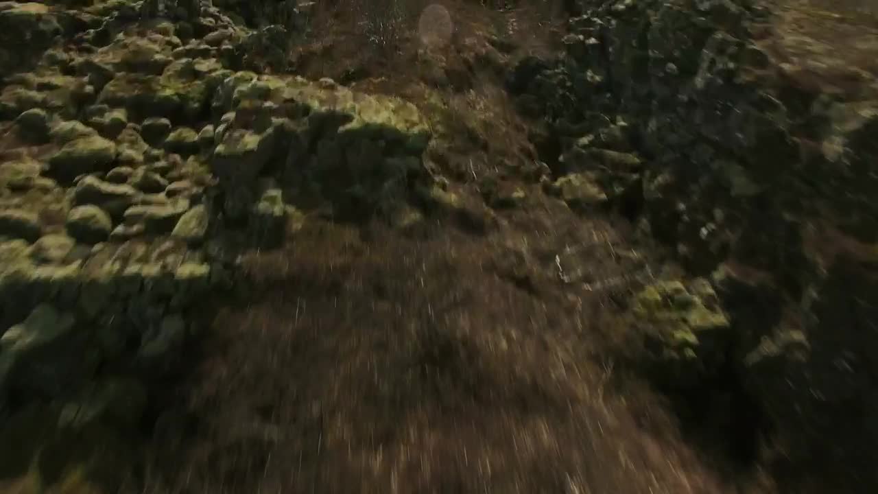 Stock Video Natural Landscape Covered In Moss Live Wallpaper - Free Download