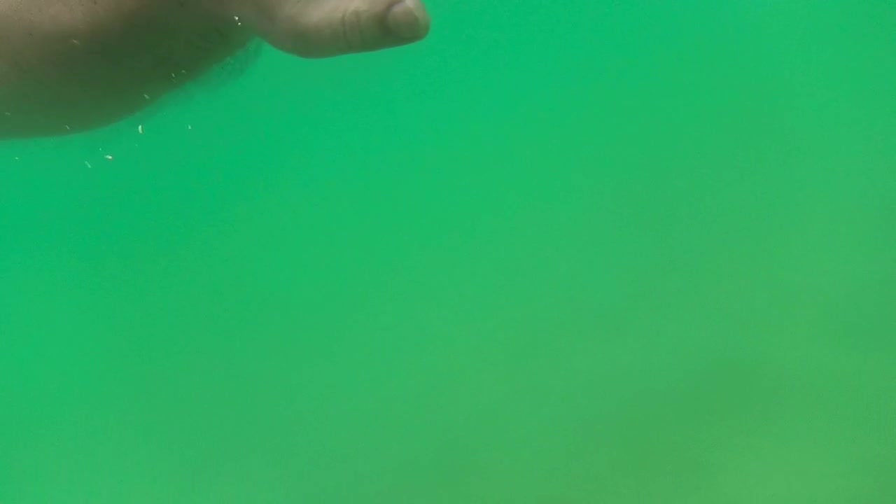 Stock Video Man Swimming In Greenish Water Animated Wallpaper - Free Download