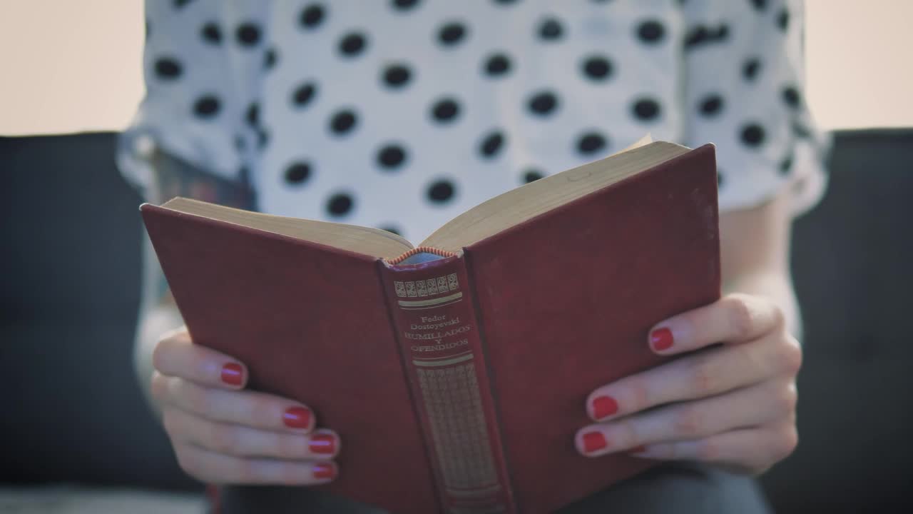 Stock Video Girl Sitting In An Armchair While Reading A Red Book Live Wallpaper For PC - Free Download