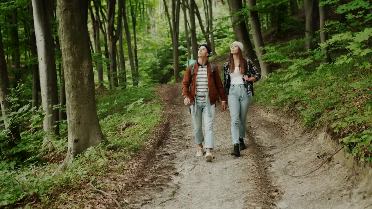 Stock Video Couple Walks Through The Woods Live Wallpaper For PC - Free Download
