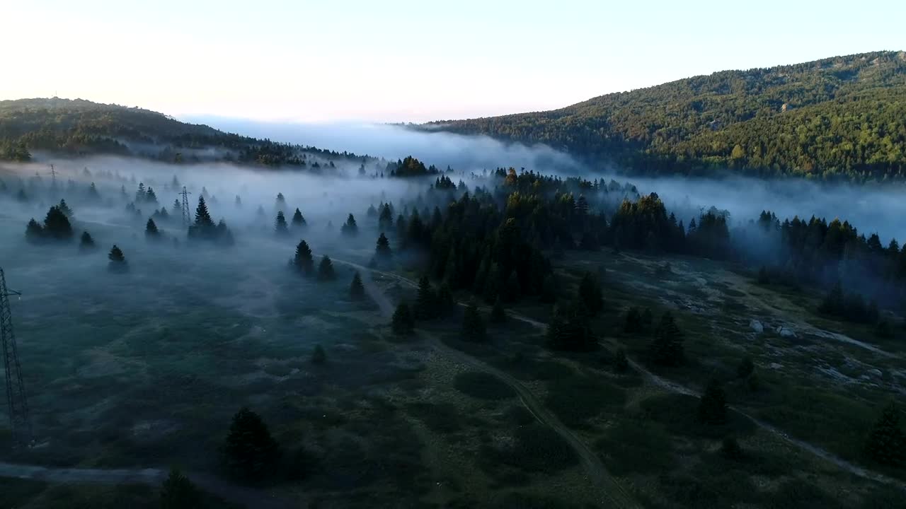 Stock Video Low Mist Hanging Over A Forest Animated Wallpaper - Free Download