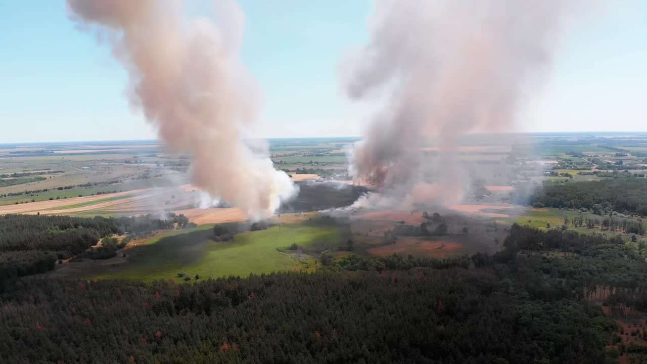 Stock Video Columns Of Smoke In A Forest Aerial Shot Live Wallpaper For PC - Free Download