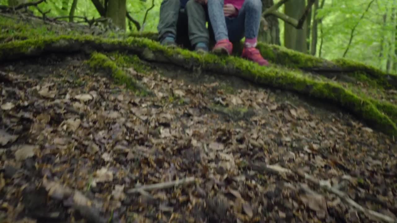 Video Stock Children Resting In Woodland Live Wallpaper For PC - Free Download