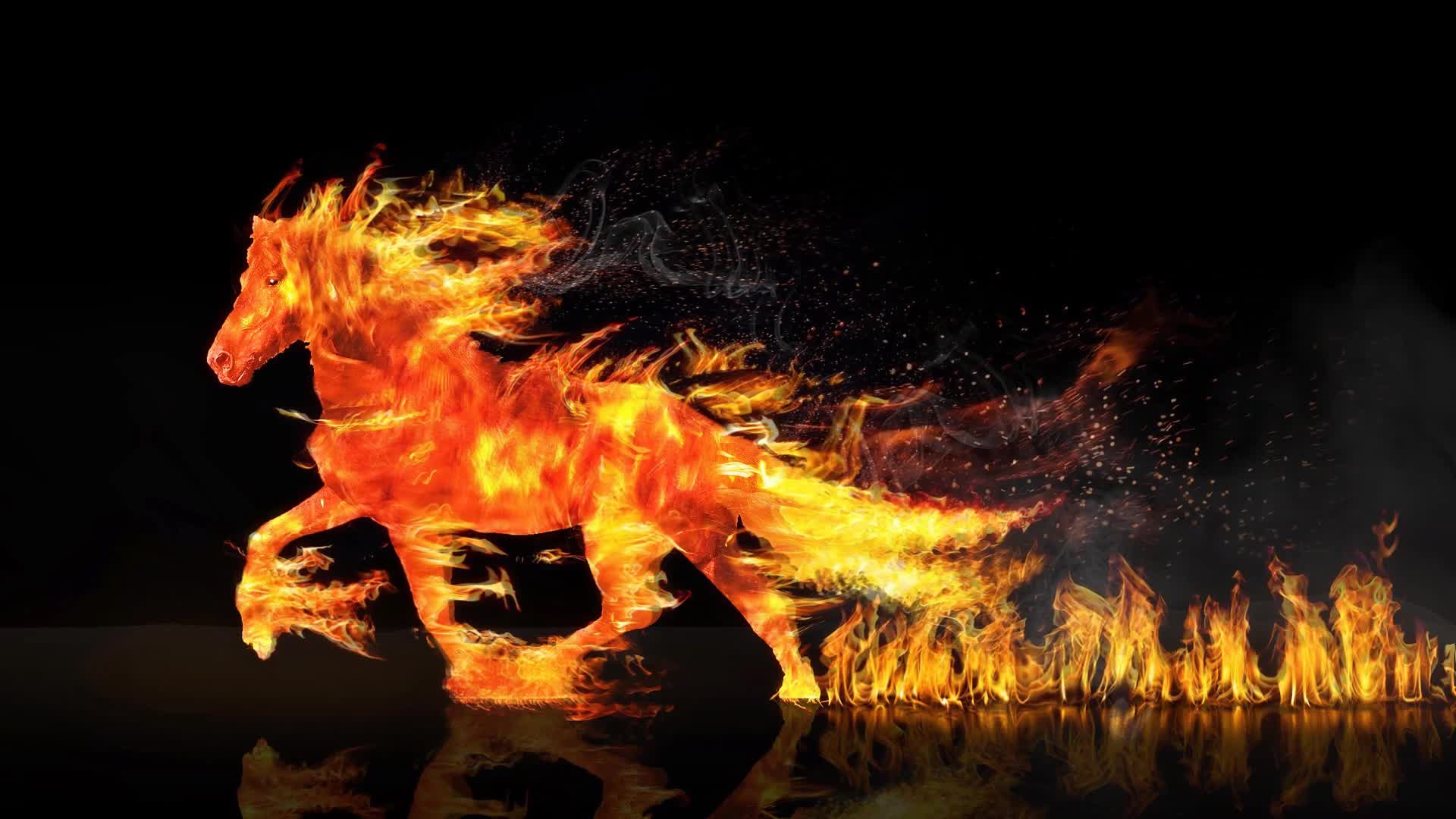 Fire  Horse  Fantasy  Live  Wallpaper - Free Download