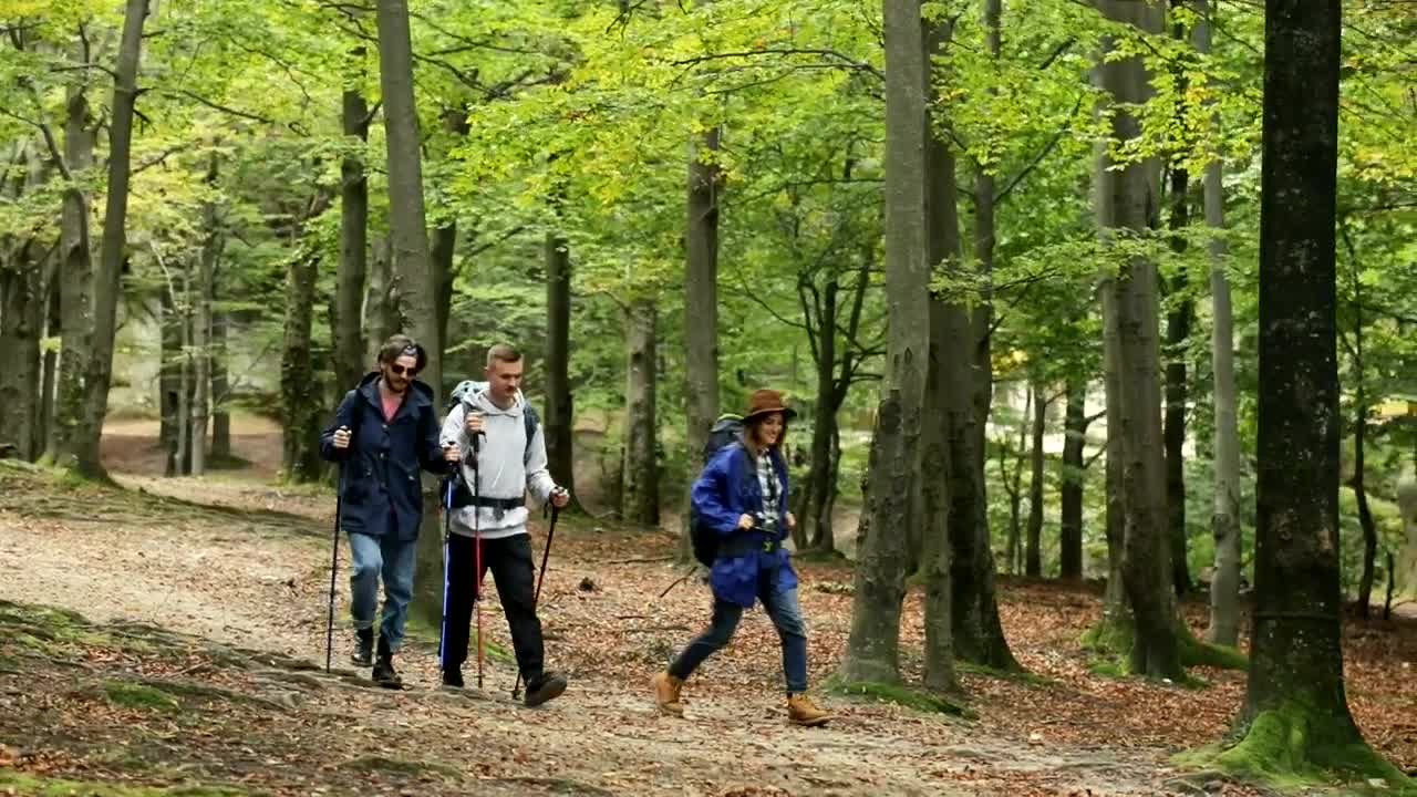 Stock Video Friends Going Camping In The Woods Live Wallpaper For PC - Free Download