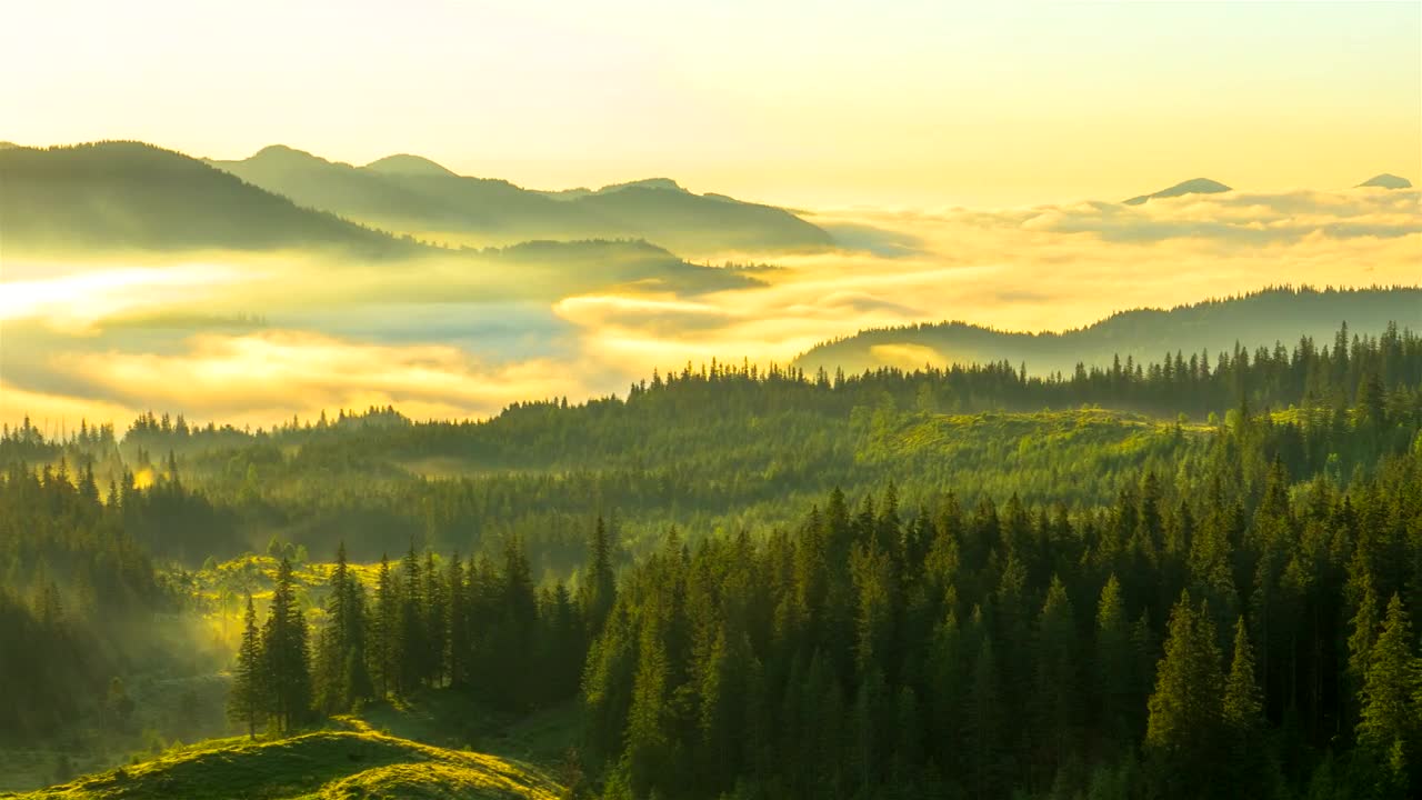 Stock Video Msity Morning In The Mountains Live Wallpaper - Free Download