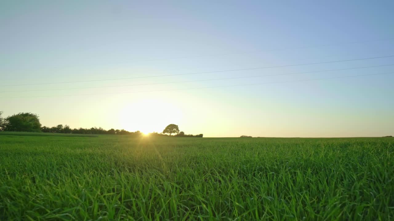 Free Video Stock Sunlight Over Natural Grass Live Wallpaper - Free Download