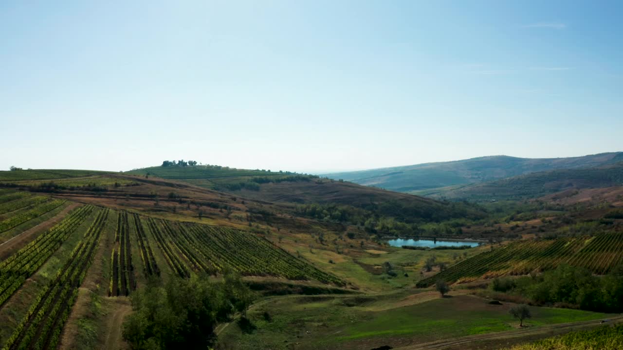 Stock Footage Vineyard With A Small Lake Live Wallpaper - Free Download
