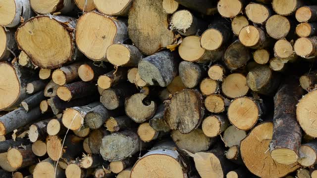 Stock Video Large Firewood Ready For Use Smal Animated Wallpaper - Free Download