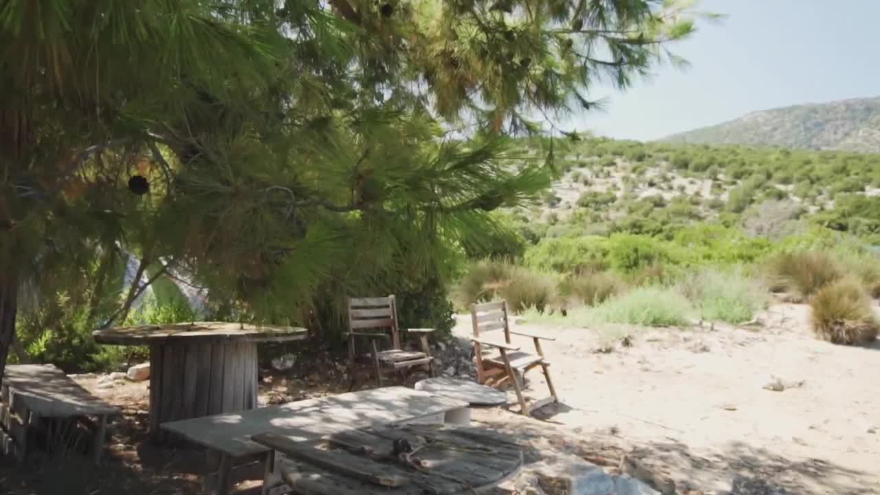 Video Stock Camping In A Desert Forest Live Wallpaper For PC - Free Download