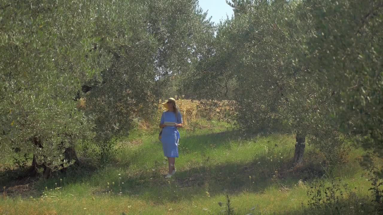 Free Video Stock taking photos in a vibrant woodland Live Wallpaper - Free Download