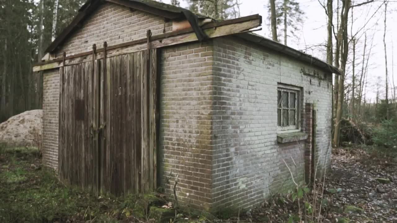 Free Stock Video Shed In A Temperate Forest Live Wallpaper - Free Download
