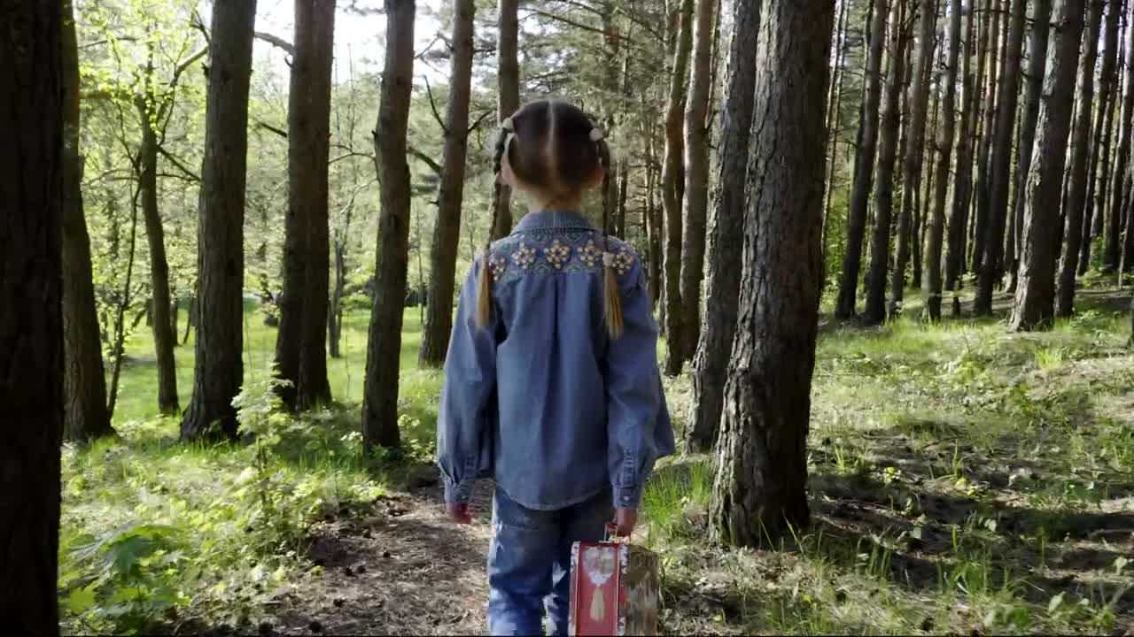 Stock Video Girl Walking Through Woodland With Her Bag Live Wallpaper For PC - Free Download
