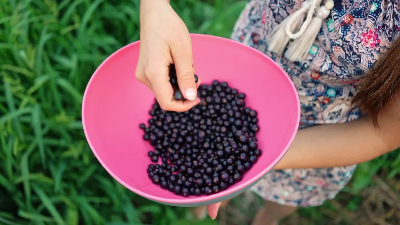 Stock Video Girl Holding A Bowl With Black Currant Berries Live Wallpaper For PC - Free Download