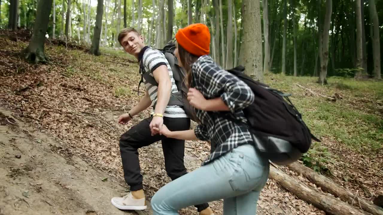 Stock Video Couple Of Explorers Walking Through A Forest Live Wallpaper For PC - Free Download