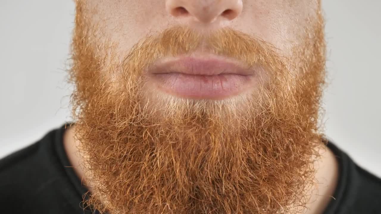 Stock Video Man Combing His Red Beard Animated Wallpaper - Free Download