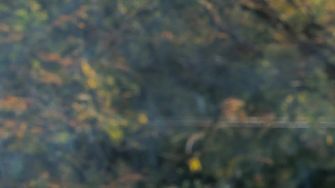 Free Video Stock Smoke On An Unfocused Background Live Wallpaper - Free Download