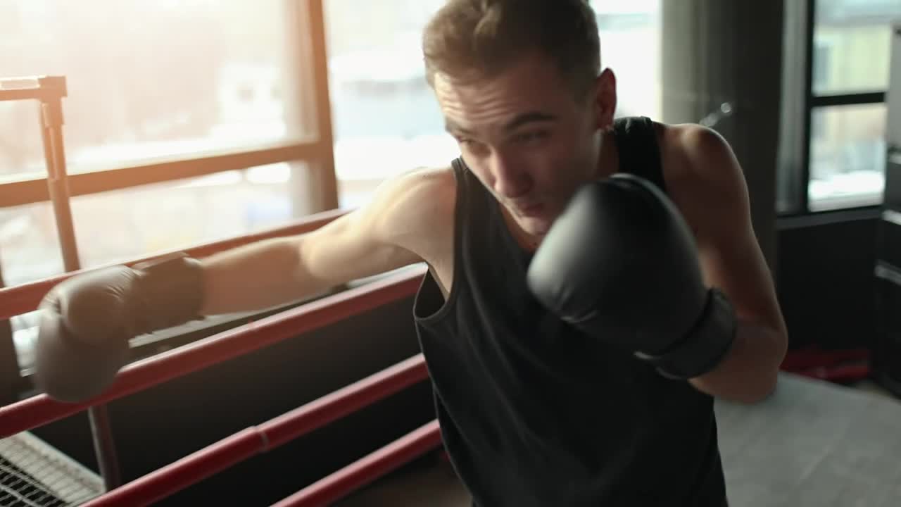 Stock Video Man Training With Gloves In Boxing Rin Animated Wallpaper - Free Download