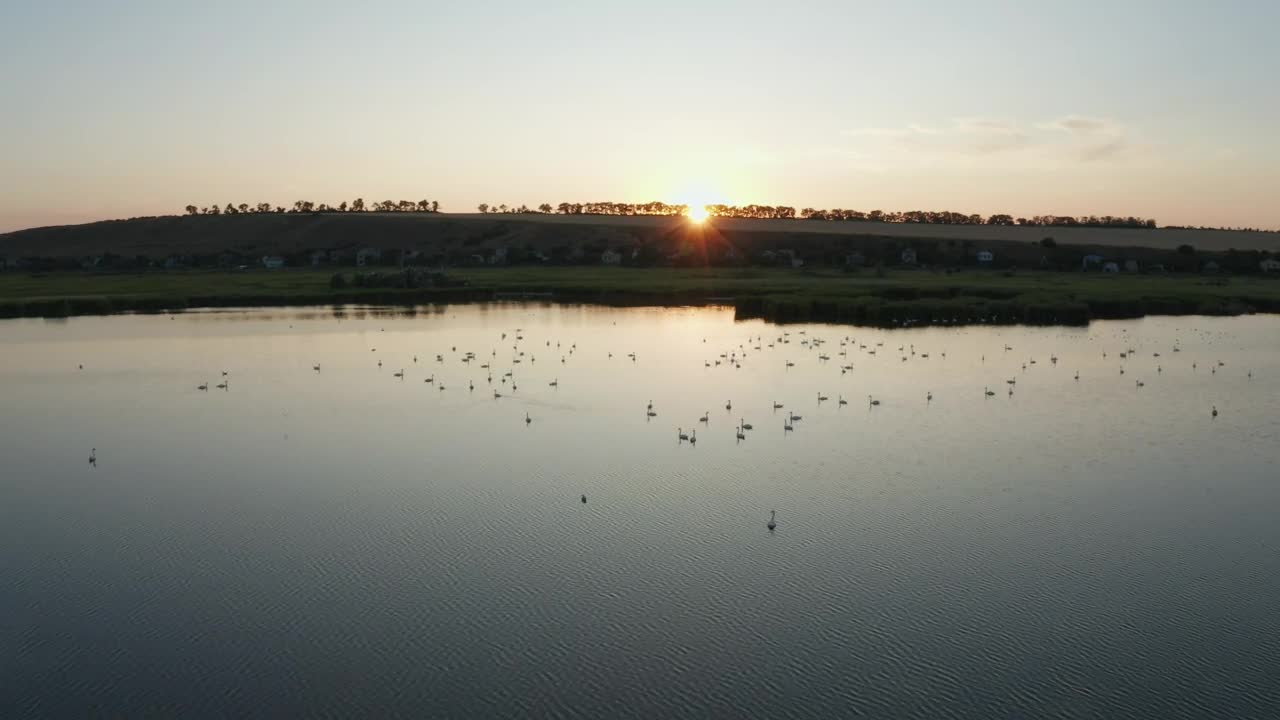 Stock Video Flying Over A Floodplain Live Wallpaper For PC - Free Download