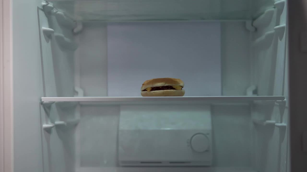 Free Video Stock timelapse of man putting groceries in fridge Live Wallpaper - Free Download