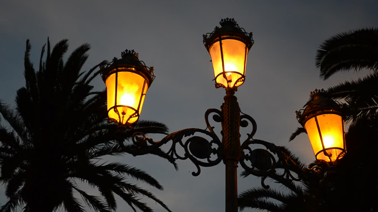 Stock Video Orange Street Lamps At Night Live Wallpaper - Free Download