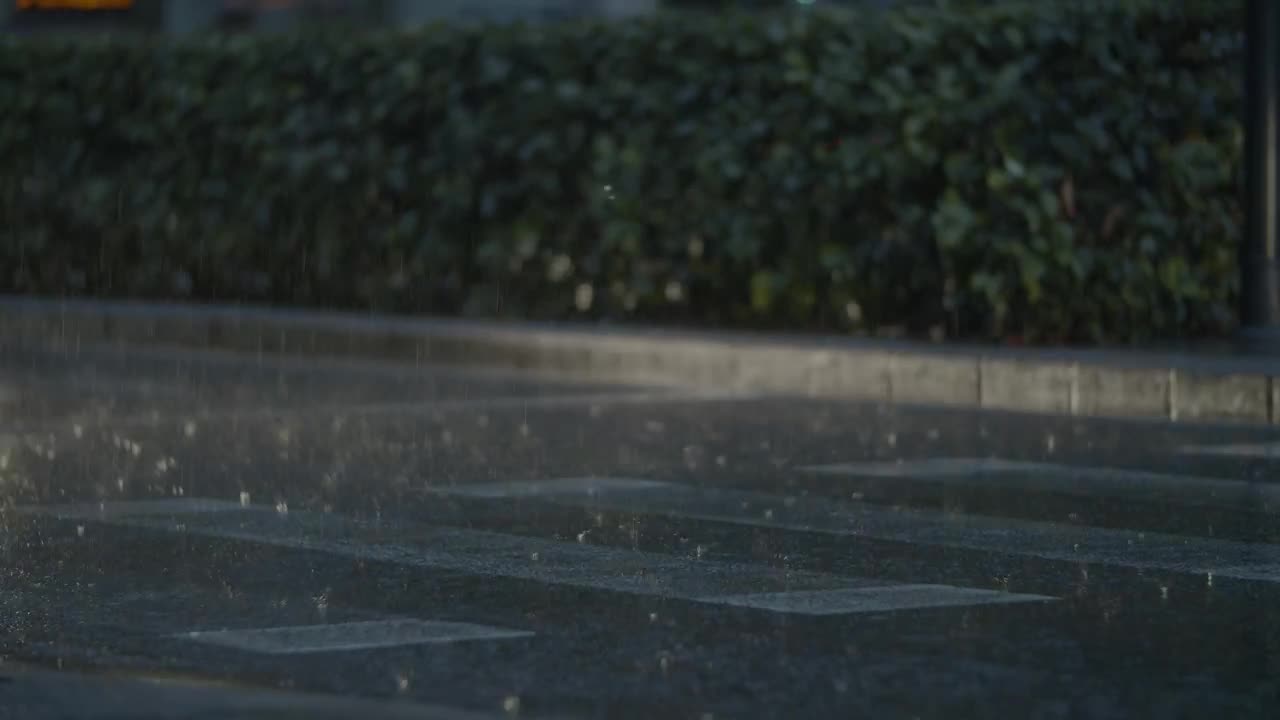 Video Stock Cars Driving Through Rainfall Live Wallpaper For PC - Free Download