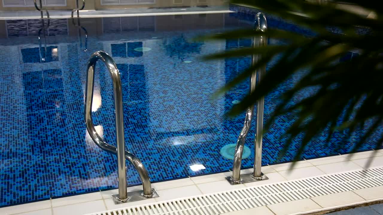 Video Stock Quiet Blue Pool And Palm Live Wallpaper Free - Free Download