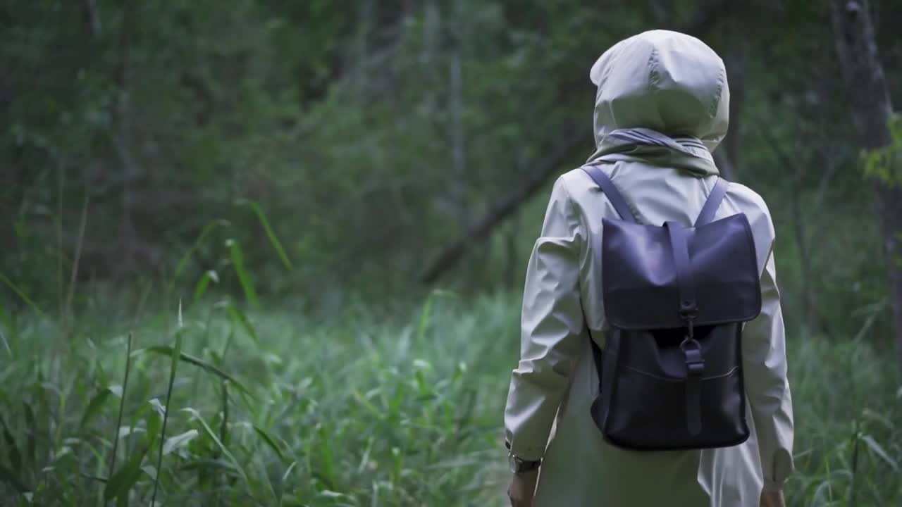 Stock Footage Walking Through The Woods Live Wallpaper - Free Download