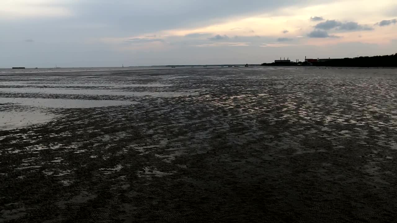 Stock Video Panning In Wetlands On A Cloudy Day Live Wallpaper - Free Download