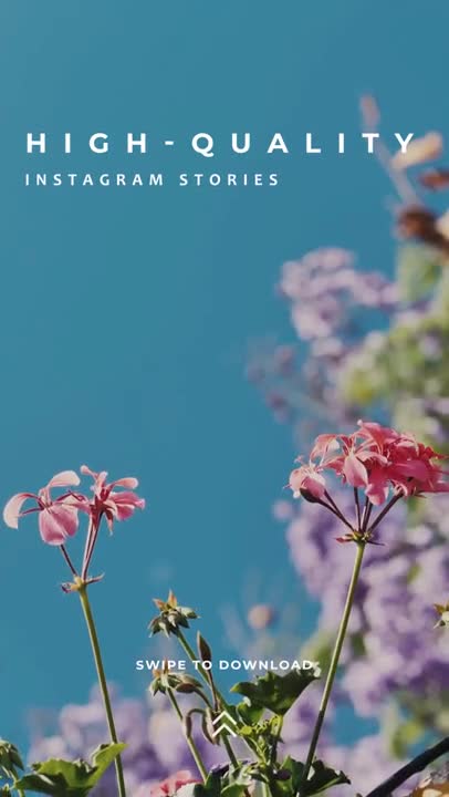 Free Stock Video Simple Instagram Story Live Wallpaper - Free Download
