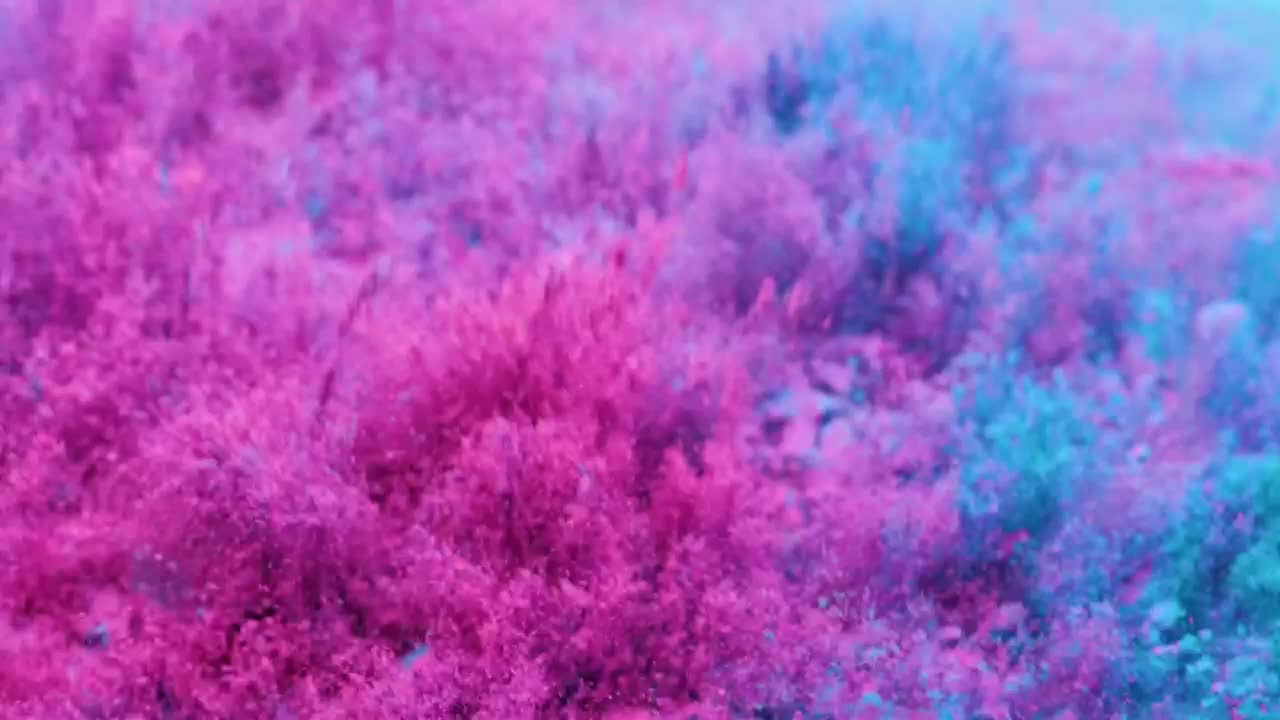 Video Stock Pink And Blue Powder Live Wallpaper Free - Free Download