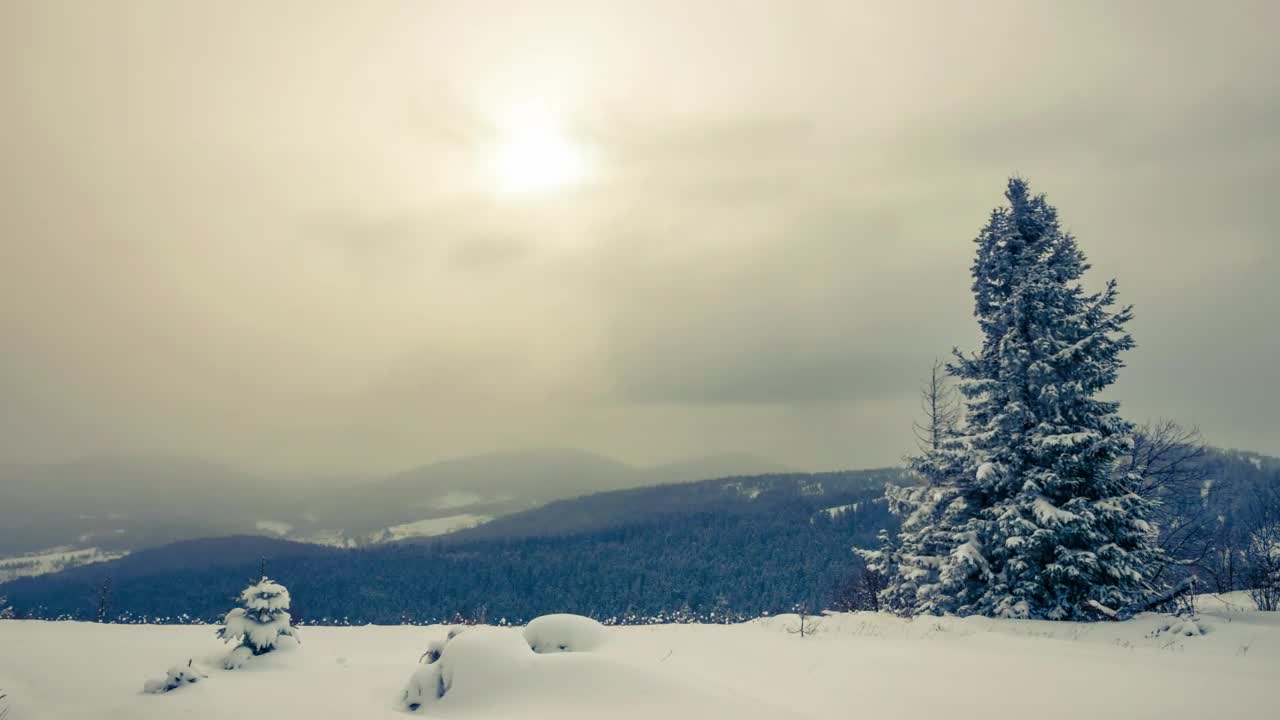 Stock Video Cloudy And Foggy Landscape While Snowing Live Wallpaper For PC - Free Download
