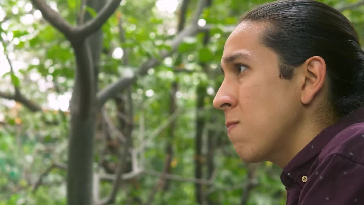 Free Stock Video Very Upset Man In A Park Live Wallpaper - Free Download